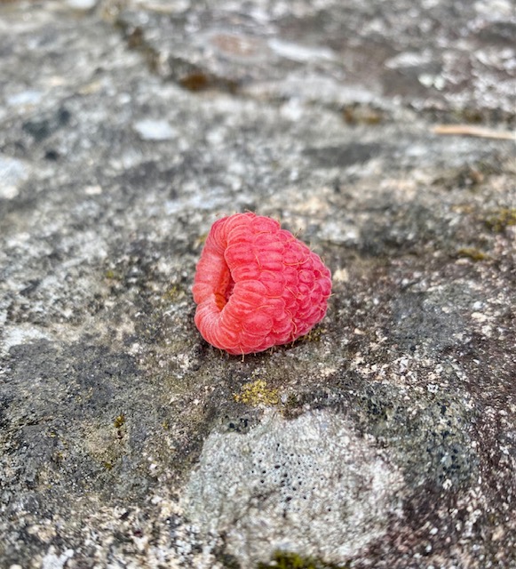 Zen.nl, Zen, meditatie, leren mediteren, foto